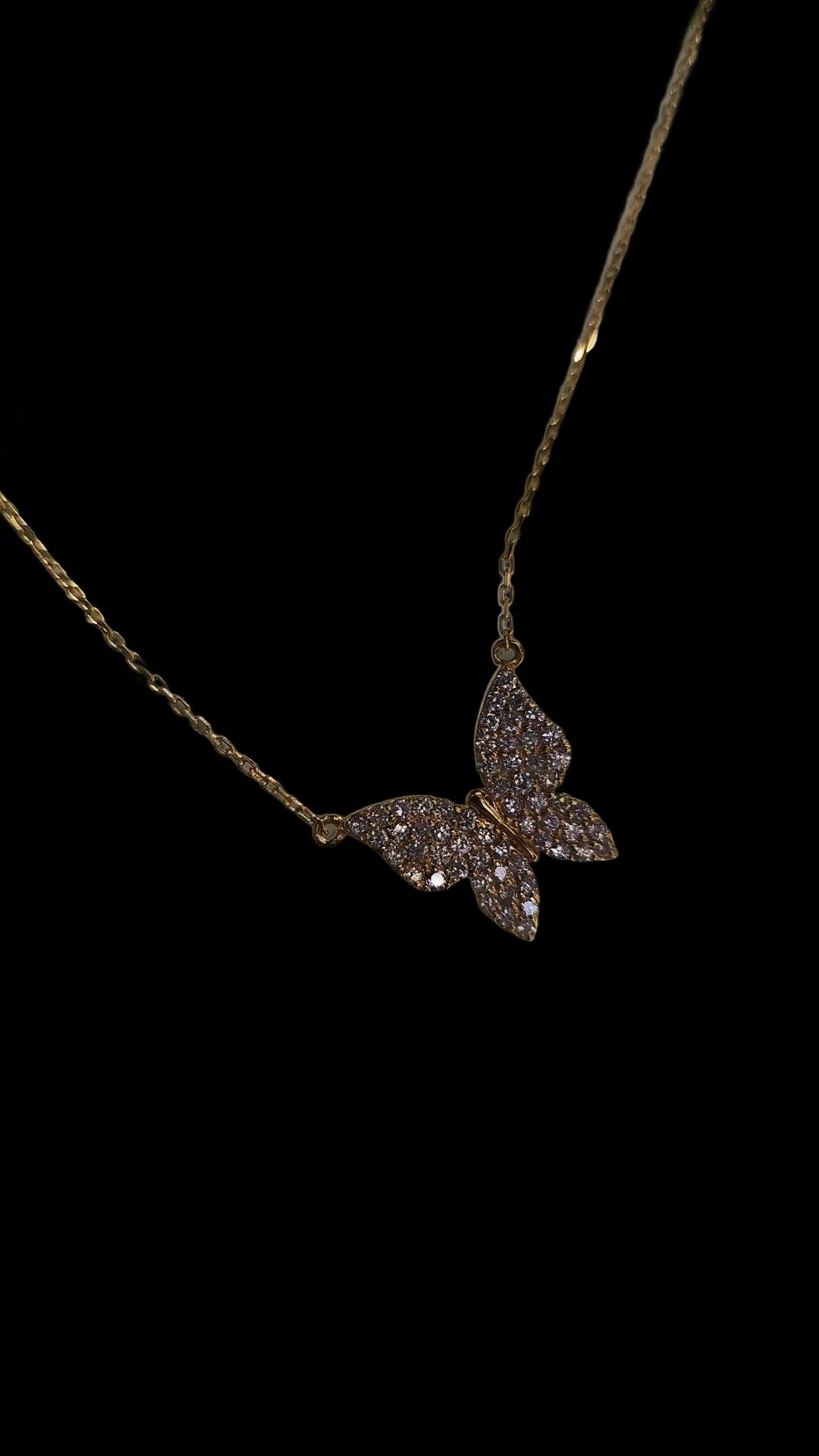 The butterfly charm