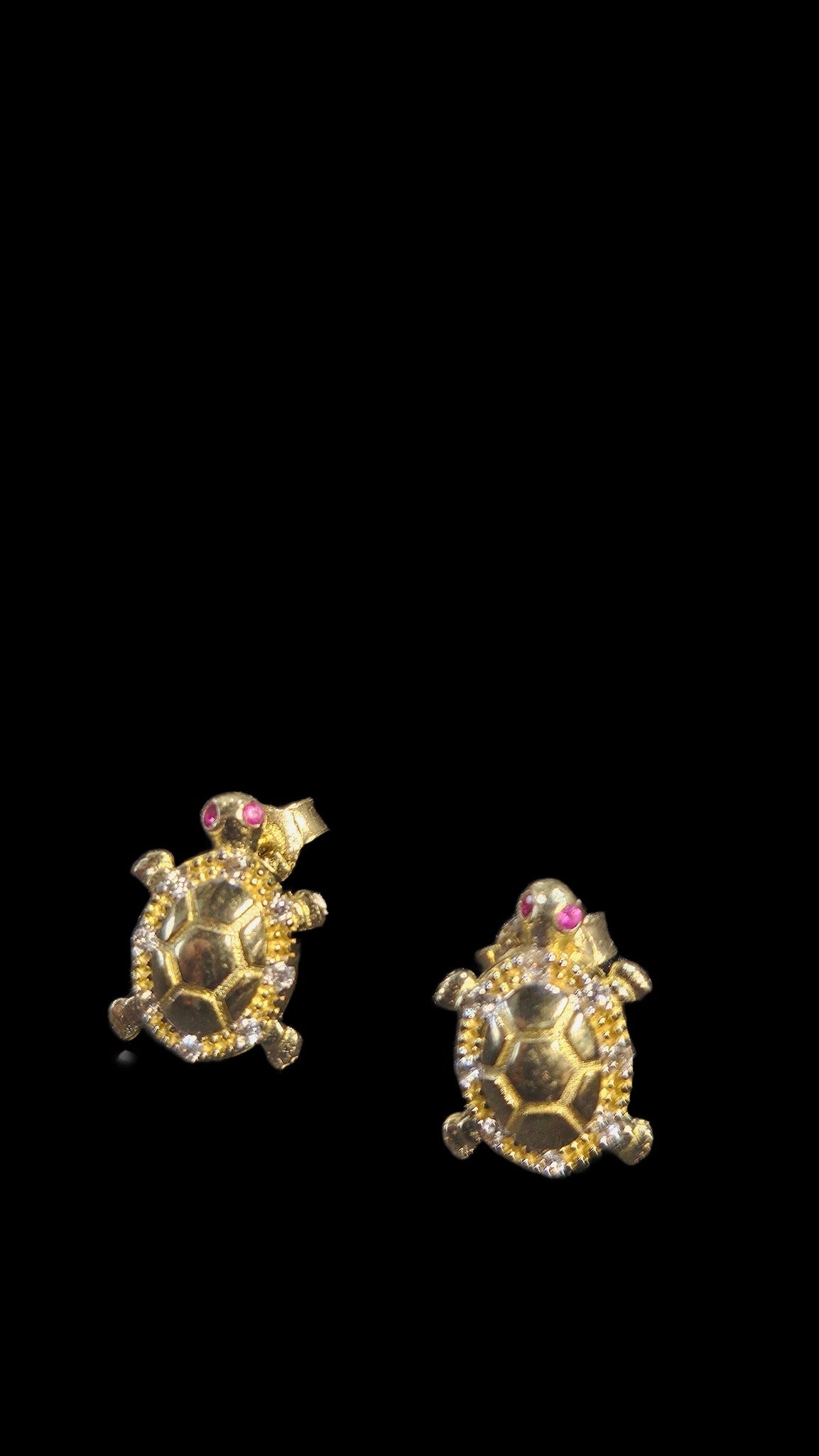 Tortoise earrings